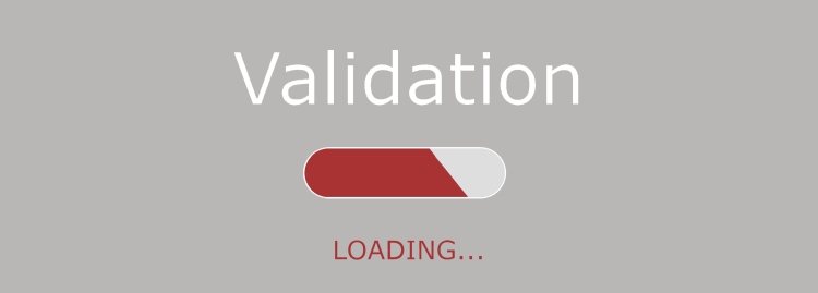 Code validation is a vital step in the development process.